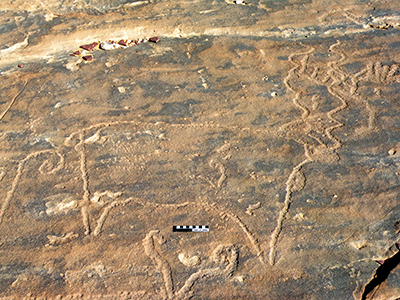 Photograph of a rock drawing from Tayma